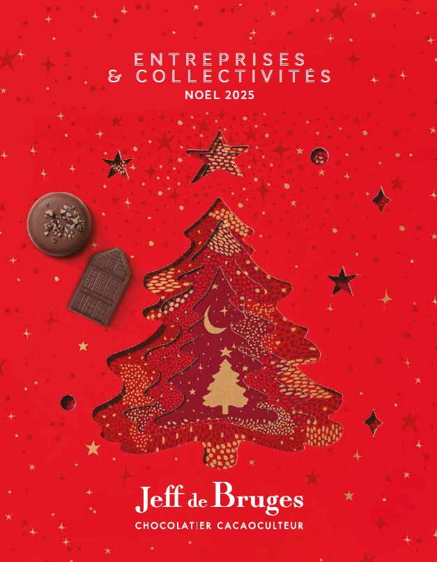 Cat Jeff Bruges Noël 2025