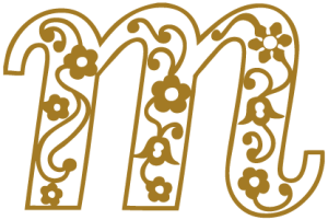 logo jaune 300x201