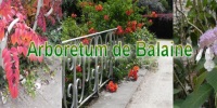 logo arboretum de balaine